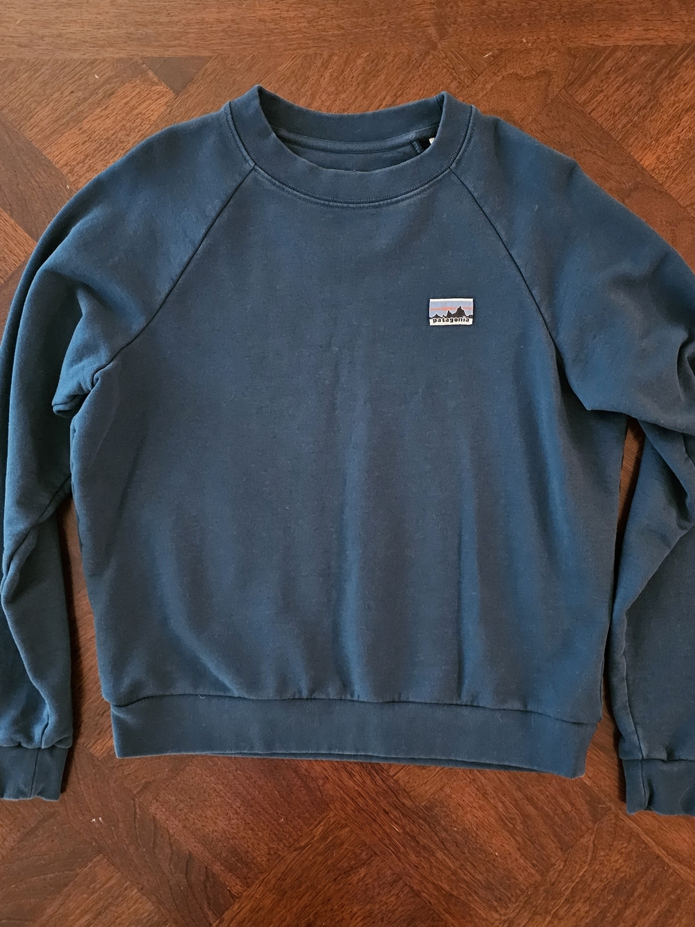 Patagonia Organic Cotton Essential Sweatshirt Cascade Green XS NWOT